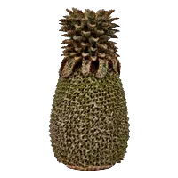 Dark Green Thai Ceramic Pineapple Vase