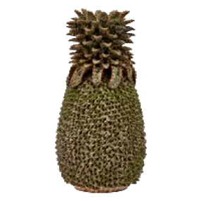 Dark Green Thai Ceramic Pineapple Vase